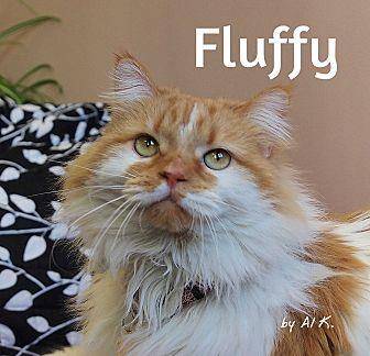 Fluffy (20443465)