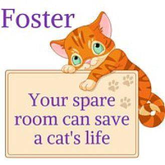 FOSTER Homes (18068099)