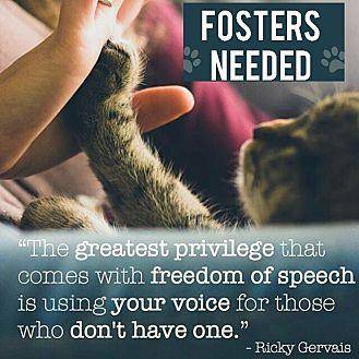 FOSTER HOMES (18109564)