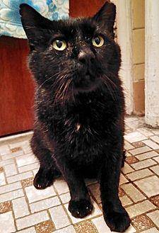 FOSTER NEEDE (20083189)