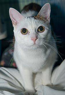 Frances (14627730)