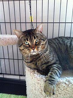Frank (12850841)