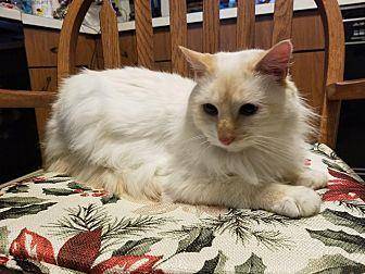 Frankie (20414061)