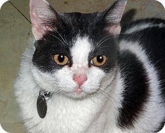 Fred (11688026)