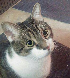 Freddie (13360127)