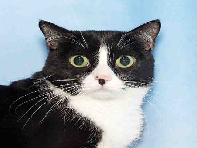 FREDERICK (A026264)