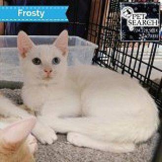 Frosty (20621470)
