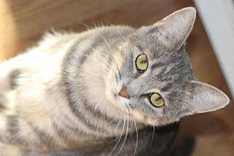 Gabby (19871413)