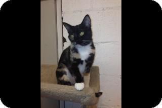 Gabby (8975415)