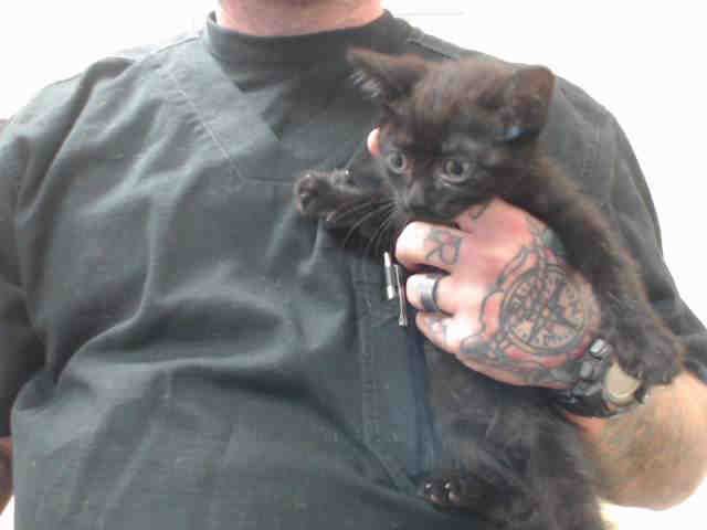 GABRIEL (A540629)
