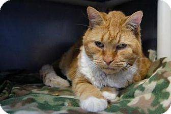 Garfield (17721837)