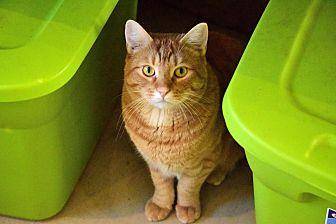 Garfield (17798030)
