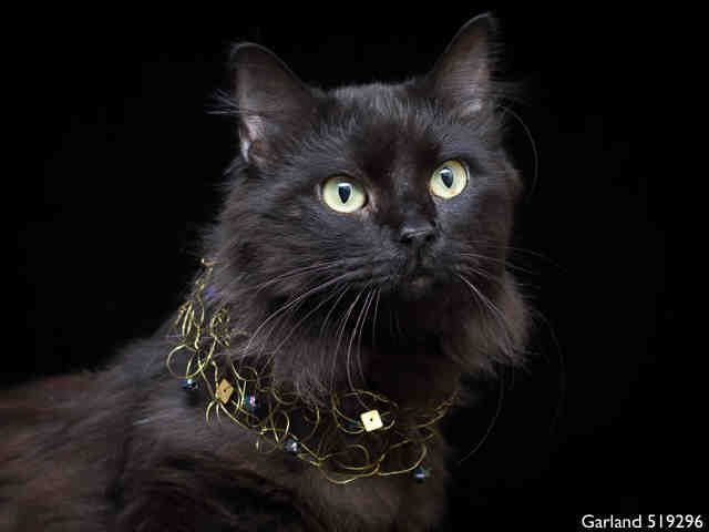 GARLAND (A519296)