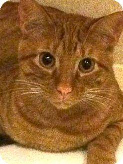 George (15203733)