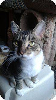 Geraldine (18636644)