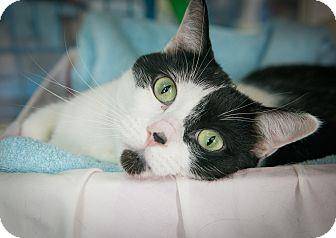 Geraldine (9248023)