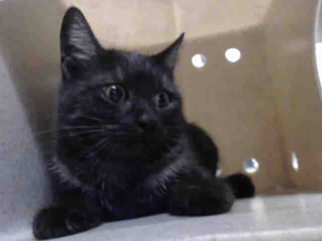GERI (A543800)