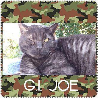 GI Joe (15032236)