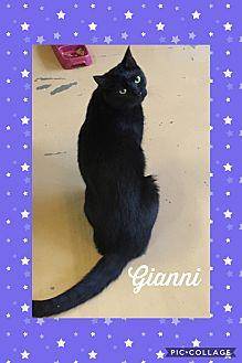 Gianni (19229082)