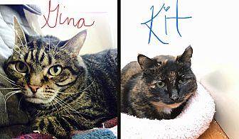 Gina & Kit (19909882)