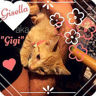 Gisella (18645628)
