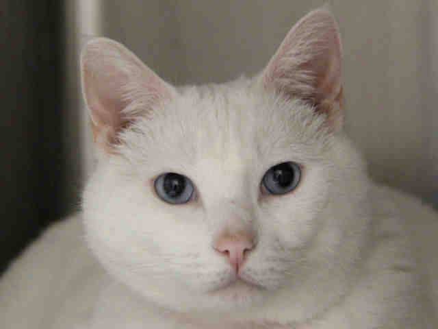 GLORIA (A1069944)