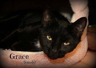 Grace (19768384)