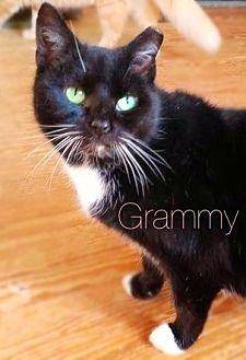 Grammy (17279594)