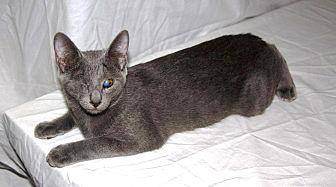 Graycee (19352232)