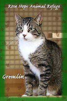 Gremlin (19775586)