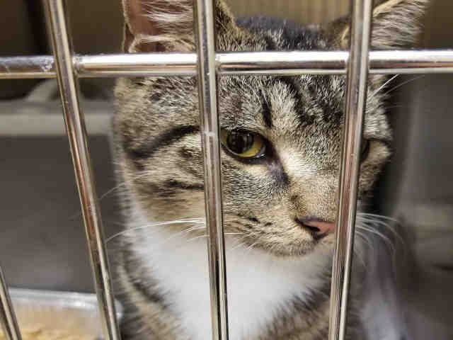 GROVER (A010861)