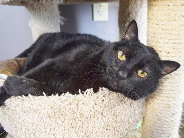 *GUADALUPE (A726942)