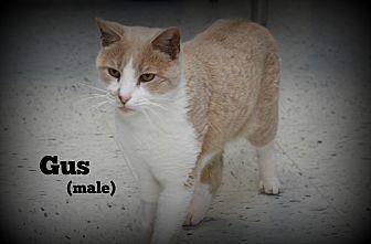 Gus (20207034)