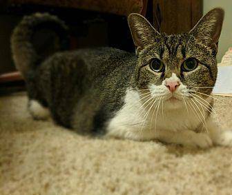 Hannah (20030730)