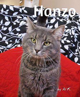 Hanzo (20096692)