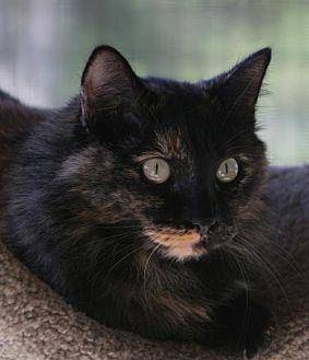 Harriet (20250214)