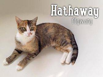 Hathaway (18292201)