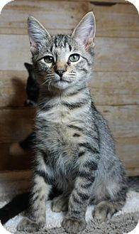 Heathcliffe (16727930)