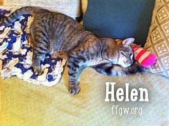 Helen (17873250)