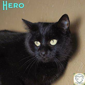 Hero (11062170)