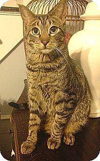Hickory, the (11145388)