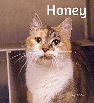Honey (19909309)