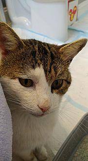Horatio (20151912)