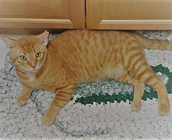 Howard Ginge (19209732)