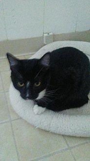 Howie (Heidi (16749661)