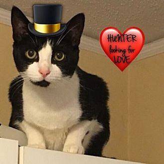 Hunter (20248278)