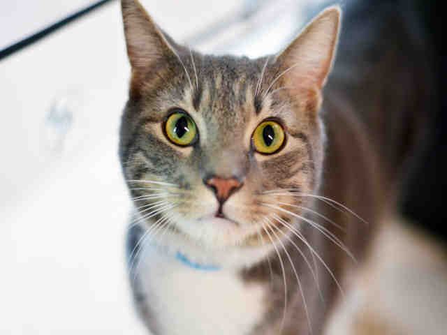 HUNTER (A1933549)