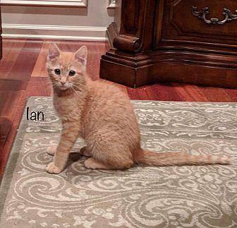 Ian (20596672)