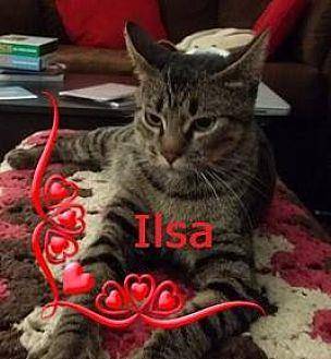 IIsa (19074460)