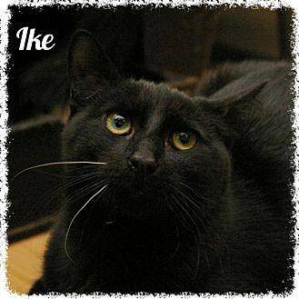 Ike (14887752)